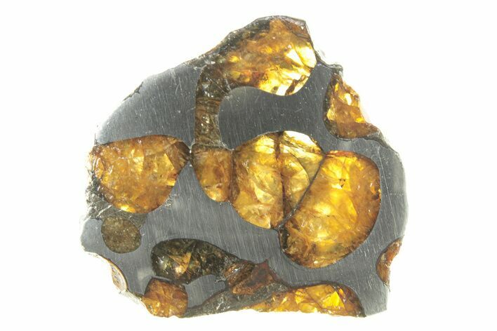 Brenham Pallasite Meteorite ( g) Slice - Kansas #263134